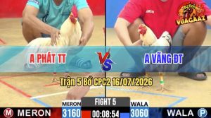 Trận 5 CPC2 16/07/2026 – Anh Phát TT Siết Mấy Chân Hạ Anh Vãng ĐT