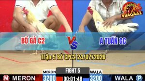 Trận 5 CPC2 24/07/2026 – Bồ C2 Đưa Gà Cọp Vào Hạ Anh Tuấn GC