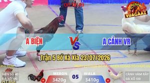 Trận 5 Xà Xía 23/07/2026 – Anh Quyền Chủ Bồ Hà Tiên Ra Nài Gà
