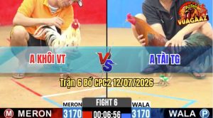 Trận 6 CPC2 12/07/2026 – Gà Điều Anh Khôi Hạ Xanh Chết Trên Tay