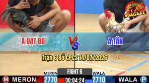 Trận 6 CPC2 14/07/2026 – Gà Que Anh Đạt Đá Cái Bo Như Xe Đụng