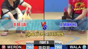 Trận 6 CPC2 17/07/2026 – Gà Anh Minh Hậu Giang Đá Toàn Cựa Tịch