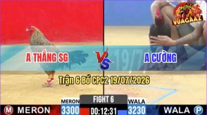 Trận 6 CPC2 19/07/2026 – Gà Điều Anh Cường Lao Vào Như Vũ Bão