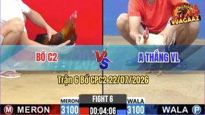 Trận 6 CPC2 22/07/2026 – Gà Úa Anh Thắng Đá Cựa Đâm Như Đời Tới