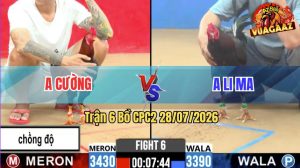 Trận 6 CPC2 28/07/2026 – Gà Điều Anh Cường Chồng Độ Đâm Thấy Nóng Lạnh