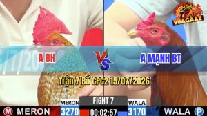 Trận 7 CPC2 15/07/2026 – Gà Điều Anh Mạnh Bươi Chà Đúng 1 Tay Nước