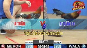 Trận 7 CPC2 26/07/2026 – Gà Anh Tuấn Long Xuyên Đá Đòn Như Cây Đập