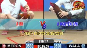 Trận 7 CPC2 30/07/2026 – Gà Que Anh Nguyên Canh Chặn Quá Khôn Khéo