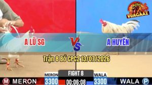 Trận 8 CPC2 13/07/2026 – Gà Bướm Cọp Anh Lũ Đá Cây Nào Thấm Cây Đó