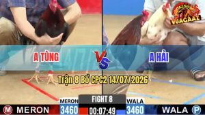 Trận 8 CPC2 14/07/2026 – Anh Tùng Bị Dí Bạc Ăn 6 Mà Vẫn Về Bờ