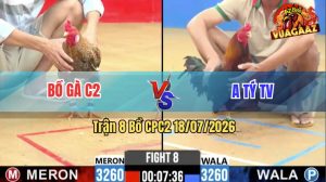 Trận 8 CPC2 18/07/2026 – Gà Cú Bồ C2 Đá Đối Thủ Không Kịp Trở Mình