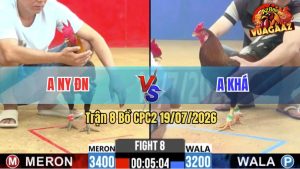 Trận 8 CPC2 19/07/2026 – Anh Ny Hạ Anh Khá Trong Vòng 2 Nốt Nhạc