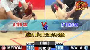 Trận 8 CPC2 20/07/2026 – Gà Điều Anh Tèo Đá Bướm Như Con Không Đẻ