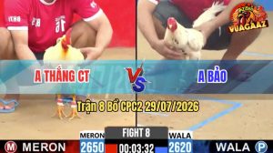 Trận 8 CPC2 29/07/2026 – Anh Bảo Hạ Anh Thắng Trong Nháy Mắt