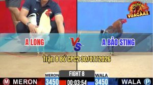 Trận 8 CPC2 30/07/2026 – Anh Bảo Sting Thất Thủ Trước Anh Long