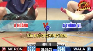 Trận 8 CPC2 31/07/2026 – Anh Thắng Bị Anh Hoàng Dí Bạc Và Cái Kết