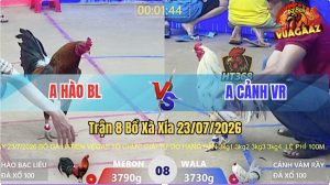Trận 8 Xà Xía 23/07/2026 – Anh Cảnh VR Có Pha Lât Ngược Thế Cờ