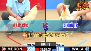 Trận 9 CPC2 13/07/2026 – Gà Úa Anh Hoà TP Đánh Nhanh Thắng Gọn