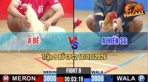 Trận 9 CPC2 14/07/2026 – Gà Bướm Anh Bé Có Pha Lội Ngược Dòng Quá Hay