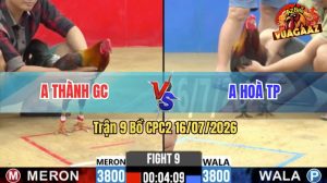 Trận 9 CPC2 16/07/2026 – Gà Điều Anh Thành Canh Chặn Khôn Như Người