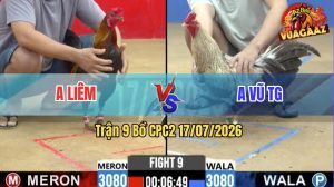 Trận 9 CPC2 17/07/2026 – Gà Anh Vũ Tiền Giang Đá Đòn Quá Hiểm Hóc
