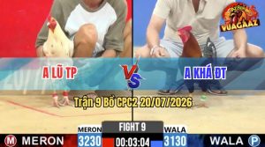 Trận 9 CPC2 20/07/2026 – Gà Anh Lũ Thành Phố Đá Toàn Cựa Nghiệt