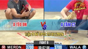 Trận 9 CPC2 21/07/2026 – Gà Cú Cọp Anh Bé Bến Tre Tải Cựa Quá Khủng