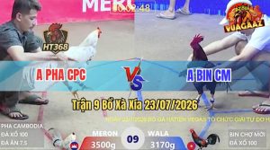 Trận 9 Xà Xía 23/07/2026 – Anh Bin CM Chấp Anh Pha CPC Hơn 3 Chấm