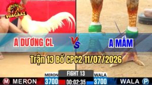 Video Trận 13 CPC2 Ngày 11/7/2026 Tại Vua Gà AZ