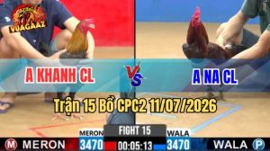 Video Trận 15 CPC2 Ngày 11/7/2026 Tại Vua Gà AZ