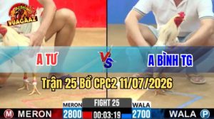 Video Trận 25 CPC2 Ngày 11/7/2026 Tại Vua Gà AZ