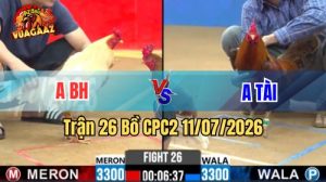 Video Trận 26 CPC2 Ngày 11/7/2026 Tại Vua Gà AZ