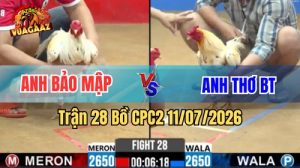 Video Trận 28 CPC2 Ngày 11/7/2026 Tại Vua Gà AZ
