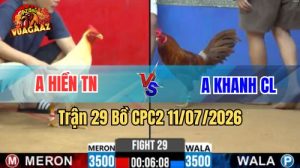 Video Trận 30 CPC2 Ngày 11/7/2026 Tại Vua Gà AZ