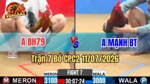 Video Trận 7 CPC2 Ngày 11/7/2026 Tại Vua Gà AZ