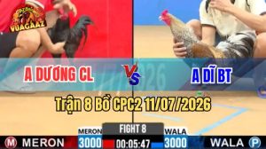 Video Trận 8 CPC2 Ngày 11/7/2026 Tại Vua Gà AZ