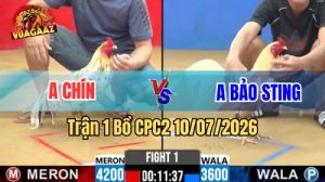 Xem Trận 1 CPC2 Ngày 10/7/2026 tại Vua Gà AZ
