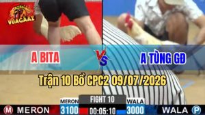 Xem Trận 10 CPC2 Ngày 9/7/2026 tại Vua Gà AZ