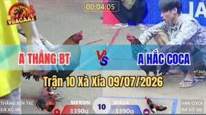 Xem Trận 10 Xà Xía Ngày 9/7/2026 tại Vua Gà AZ