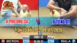 Xem Trận 13 CPC2 Ngày 9/7/2026 tại Vua Gà AZ