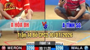 Xem Trận 14 CPC2 Ngày 10/7/2026 tại Vua Gà AZ