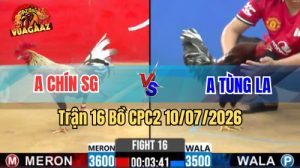 Xem Trận 16 CPC2 Ngày 10/7/2026 tại Vua Gà AZ