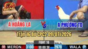 Xem Trận 16 CPC2 Ngày 9/7/2026 tại Vua Gà AZ
