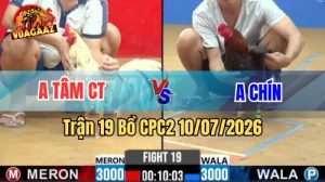 Xem Trận 19 CPC2 Ngày 10/7/2026 tại Vua Gà AZ