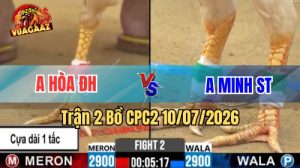 Xem Trận 2 CPC2 Ngày 10/7/2026 tại Vua Gà AZ