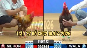 Xem Trận 22 CPC2 Ngày 10/7/2026 tại Vua Gà AZ