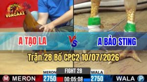 Xem Trận 28 CPC2 Ngày 10/7/2026 tại Vua Gà AZ