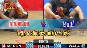 Xem Trận 5 CPC2 Ngày 9/7/2026 tại Vua Gà AZ