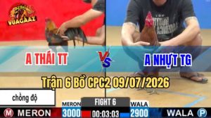 Xem Trận 6 CPC2 Ngày 9/7/2026 tại Vua Gà AZ