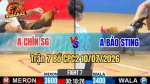 Xem Trận 7 CPC2 Ngày 10/7/2026 tại Vua Gà AZ
